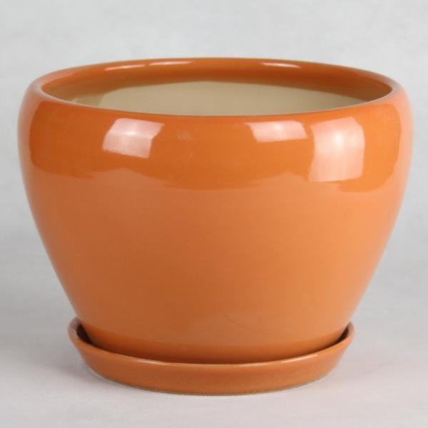 Stunning Plant Display With Our Ceramic Pots Affordable Prices