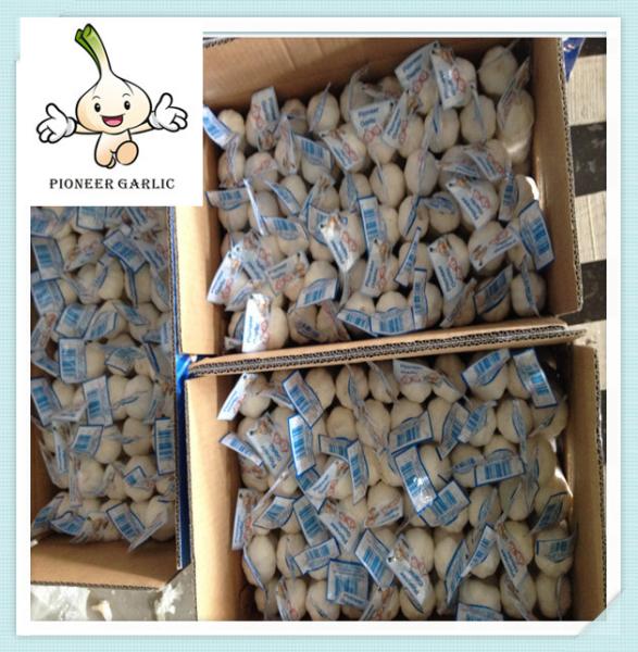 Best Quality Normal White Garlic wholesale royal factory outlets fresh pure white garlic