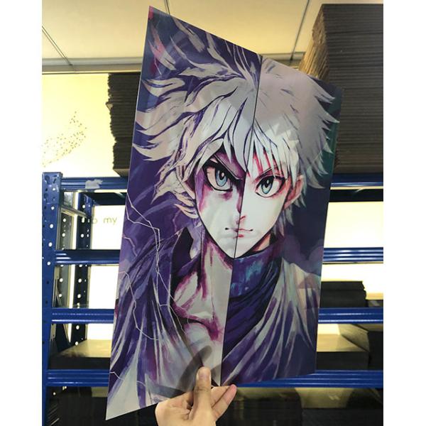 3D Lenticular Anime Wall Posters Hunter X Hunter Triple Transition Pictures Flip