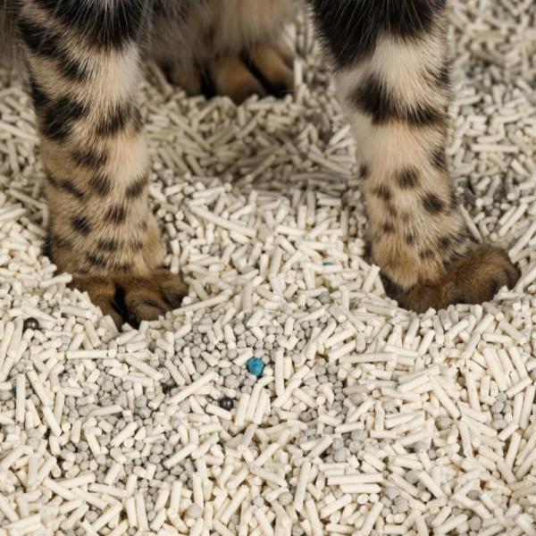 Long-Lasting Freshness Dust Free High Absorption Mixed Cat Litter Multi Fragrance