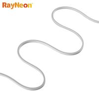 Bandes néon étanches RGB DC12V 24V, mini néon LED en silicone à vision latérale 04*06mm