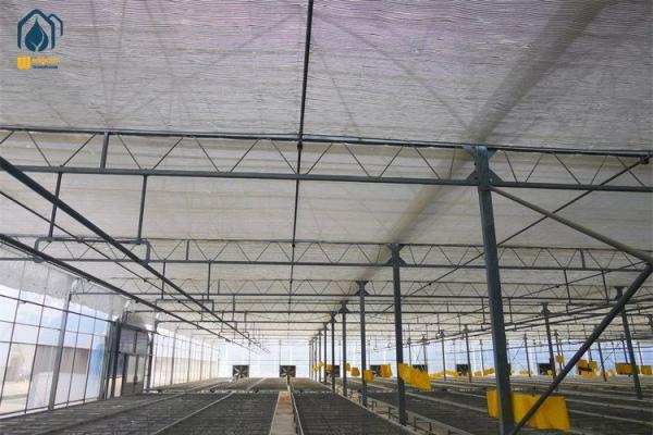 Grand tunnel agricole PC Serre polycarbonate Serre pour la culture des légumes