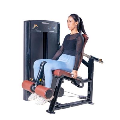 Machine chargée de broches d'extension de jambe pour le gymnase