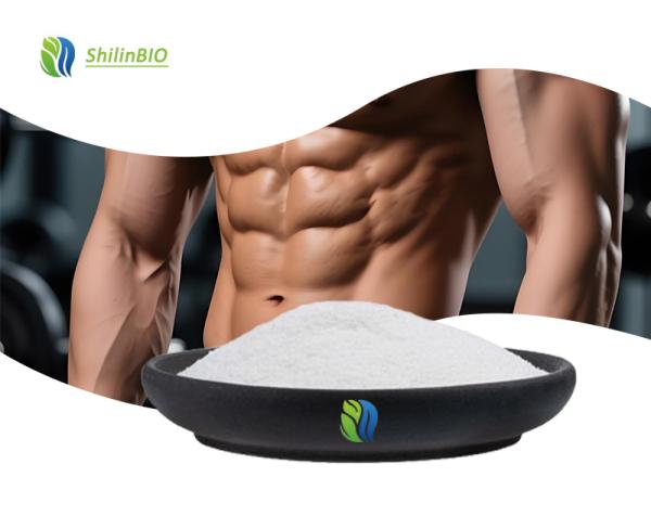 Leucine Bulk Powder