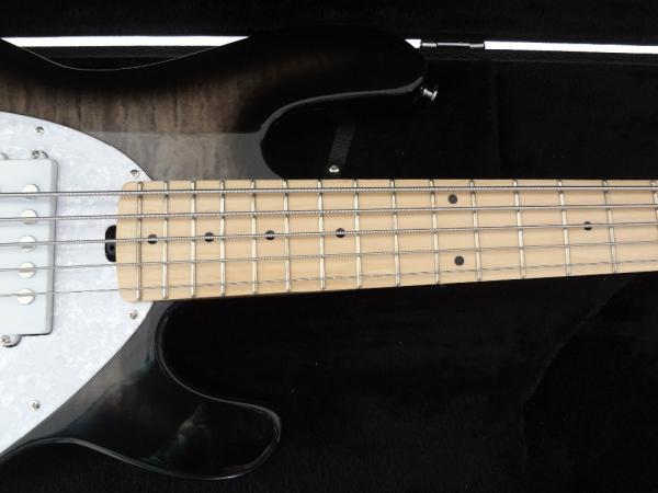 5 string bass guitar Erine ball sting ray 5 Gray quilted maple body maple neck and fingerboard