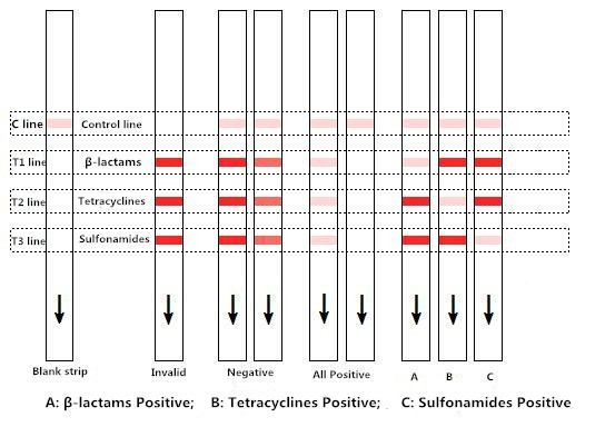 Milk Test Strip Beta Lactams Tetracyclines And Sulfonamides Combo Rapid