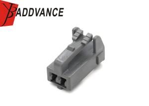 ODM 2 elétricos Pin Female Plastic Pipe Connectors do OEM para o carro