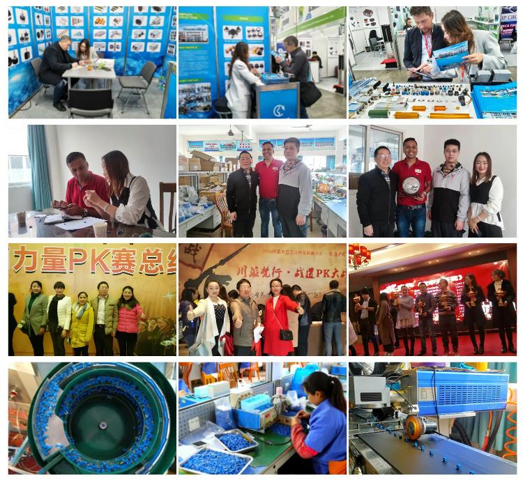 Sichuan Qixing Electronics Co., Ltd.