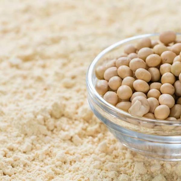 Poudre isolée de protéines de soja de qualité pharmaceutique 1 kg en vrac