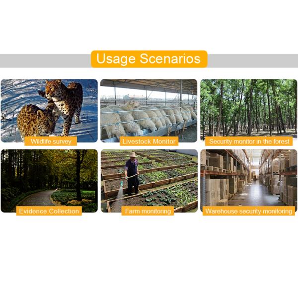 Wifi Infrared Night Vision Trail Camera Hunting 60m Outdoor Security