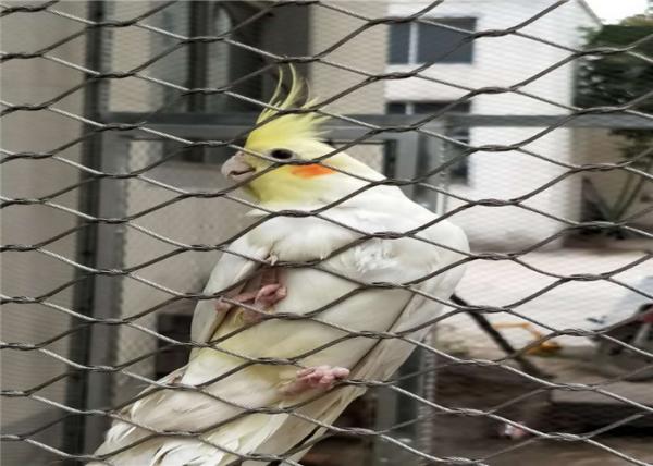 Knotted Stainless Steel Aviary Mesh High Safety Good Fire Prevention Properties