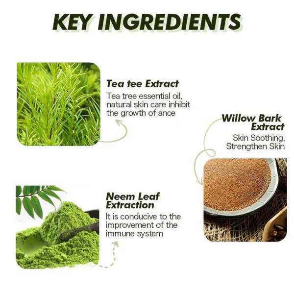 100% Natural Tea Tree Hyaluronic Vitamin C Serum Skin Damage Products