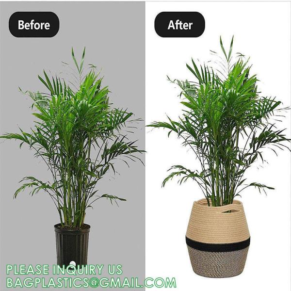 Home Decoration Basket For Plants Cotton Rope Woven Rattan Flower Pots Planter Cotton Rope Woven Rattan Flower Pots