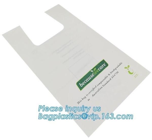 Biodegradable Compostable Plastic Trash Bag, Eco-Friendly Compostable Bag, Customized 100% Compostable Biodegradable T-S