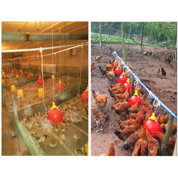 пьяница бройлера Plasson пьяниц воды птицы 38cm Nestable