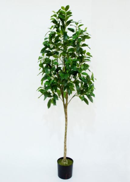 150cm Artificial Decorative Trees Pachira Macrocarpa Plant Custom Design