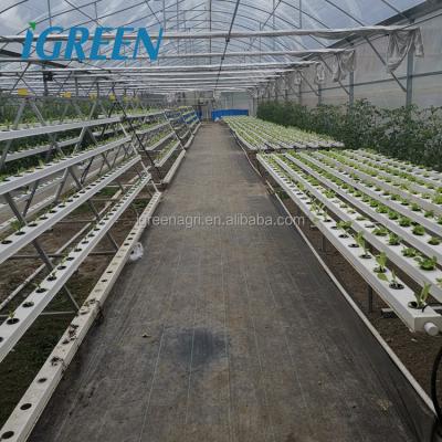 Aquaponics Growing Greenhouse Hydroponics System Automatic Watering Vertical Nft Hydroponics Growing System