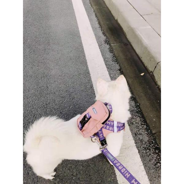 Cute Dog Backpack Harness For Hiking Outdoor Bag With Leash X Small