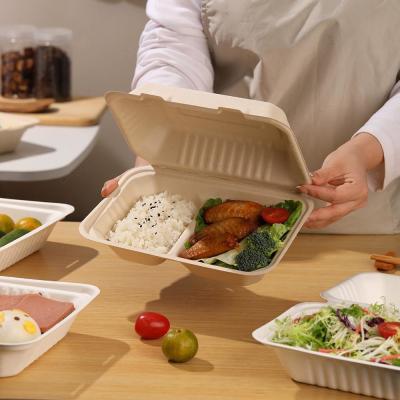 Biodegradable takeaway food packaging bento lunch boxes fast food takeaway sugarcane pulp lunch boxes