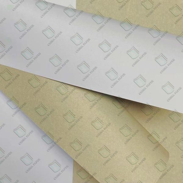 120gsm - 200gsm Coated White Top Liner PaperFor Magazine Printing / WTL