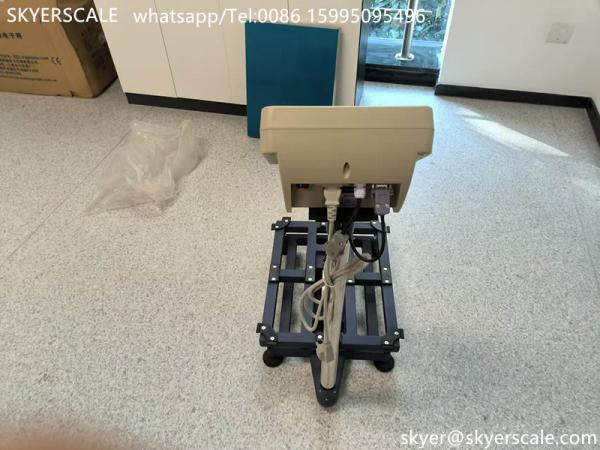 Balanza de banco de plataforma de 300 kg conecta computadora con balanza de pesaje RS232