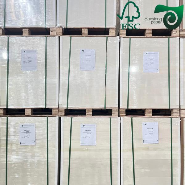 210gsm 230gsm C1S Paperboard FSC 700mm 1000mm Solid Folding Resistance