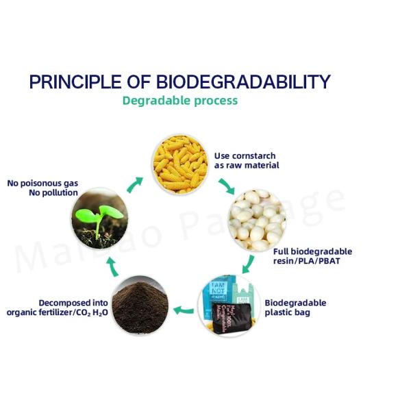 Ecommerce Mailing Clothing Bags OEM Poly Mailer Bags For Clothes