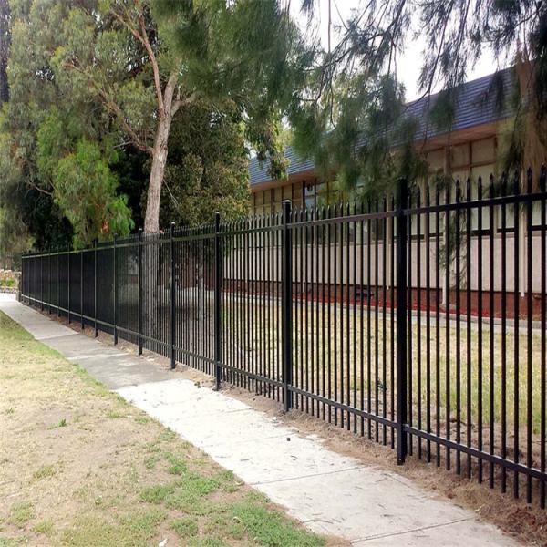 Black Powder Coated Wrought Iron Fence Panels 1.8m Height