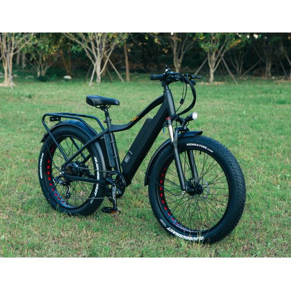 Best 1000W Electric Fat Tire Bike 26