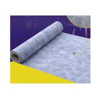 Membrane imperméable à l'eau de polyéthylène polypropylène polymère de conception traditionnelle pour le sous-sol