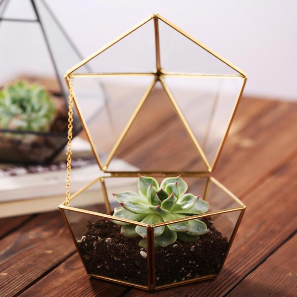 Pentagon Shaped Jewelry Glass Display Case Air Plant Terrarium Planter