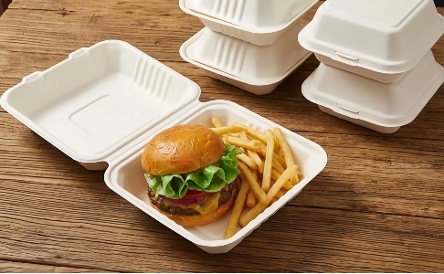9x6 Disposable Bagasse Clamshell Containers Burger Box Water Resistant