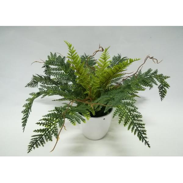 бонзаи папоротника столешницы 28cm искусственные с баком 4 дюймов белым