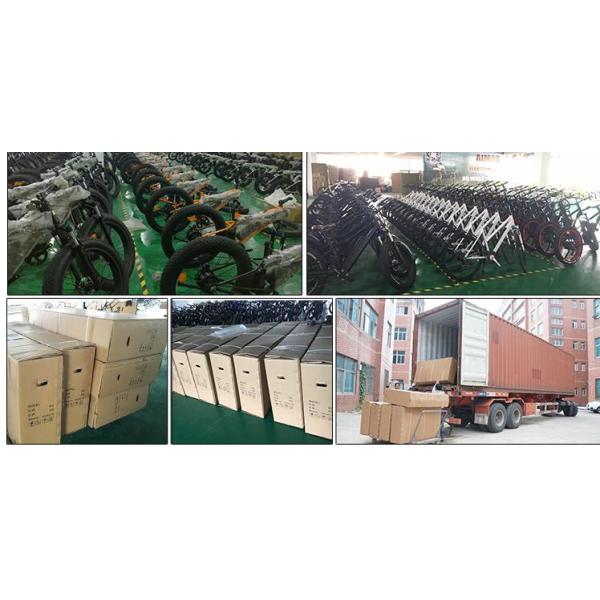 City Black Step Through Custom Electric Bike 250w 120 Kg Load Capacity