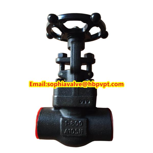 ANSI A105N forged gate valve