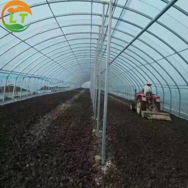 Tunnel Greenhouse for Strawberries and Tomatoes Planting Fast Delivery within 30 Days