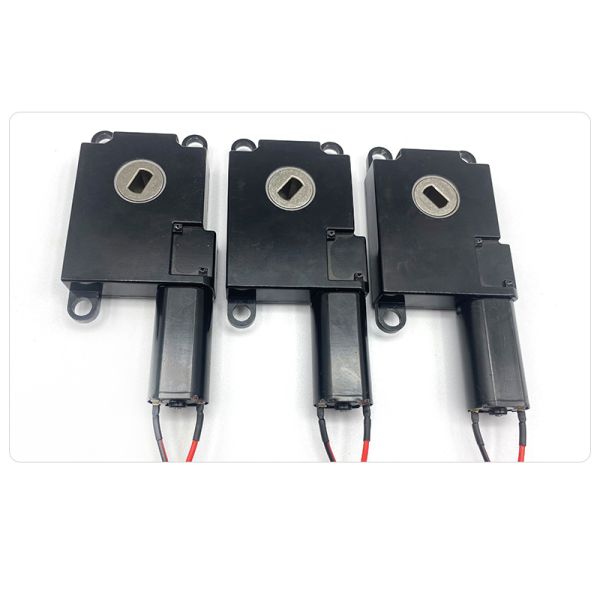 Wholesale FT-63SGM190 Electrophoresis Micro Reducer Motor 6v 12v 24v 50rpm 2-200rpm 200 Rpm DC Worm Gear Motor CE ROHS