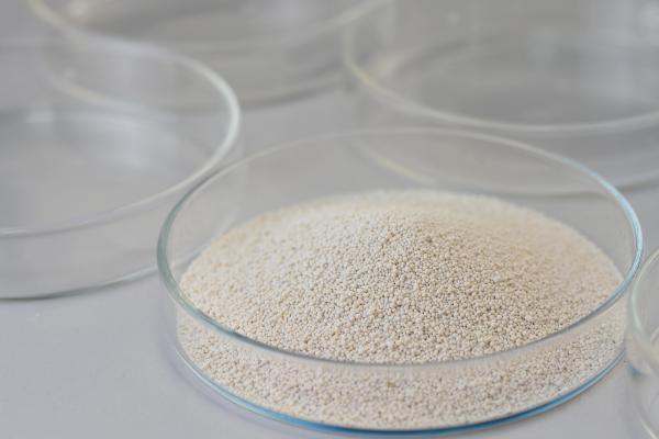 Enzimas líquidas de celulose e papel quebram a parede das células de fibra