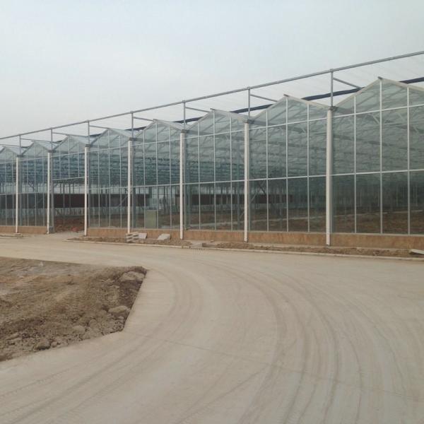 Farming Venlo Aluminum Frame Glass Greenhouse For Agriculture Growing