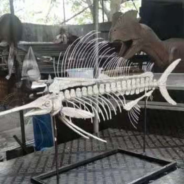 Museum Quality Dinosaur Skeleton Model Kits Fiberglass Resin Fossil Simulation