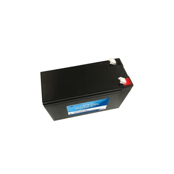 12V 7.5Ah LiFePO4 Rechargeable Deep Cycle Battery for Security and Portable Devices