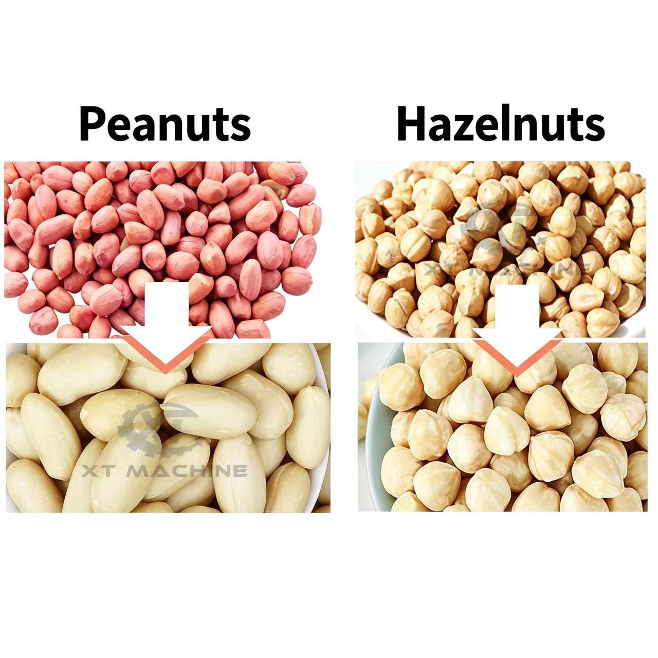 New PLC‑Controlled Air Blanching Peeling Machine Stainless Steel Peanut Hazelnut Skin Removing Machine For Nut Processing Plant