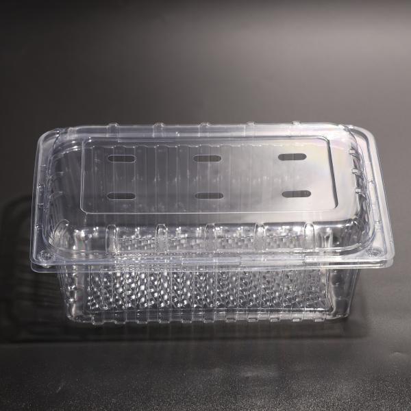 Contenedor de embalagem de alimentos de plástico descartável rectangular com tampa