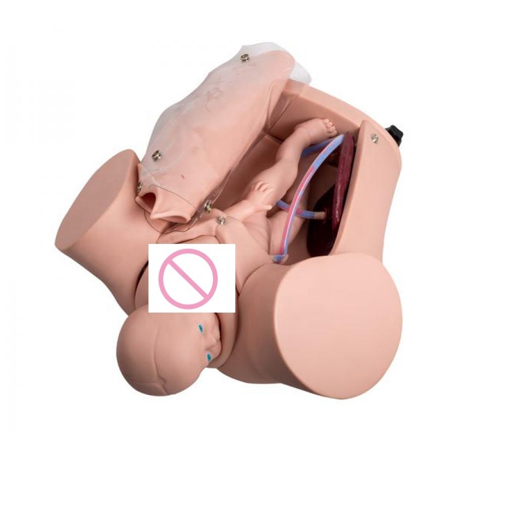 Comprehensive Childbirth Skills Training Mannequin for School of Nursing and Midwifery