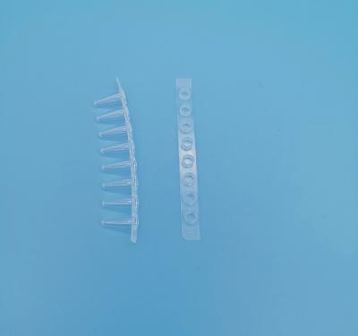 8 Strip Tube Pcr Tubes 0.1 Ml Transparent For Medicine Field