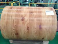 0.2mm Printech de madeira bobina revestida a cores bobinas de aço pré-pintadas PPGI PPGL