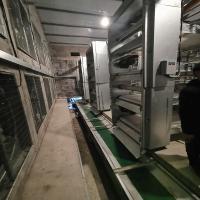 sistema automático da remoção do estrume de 6mm