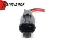 Élém. élect. avec 176143-2 2 masculins 4.8mm des véhicules à moteur Pin Connector Wire Harness For Ford MAZDA Toyota