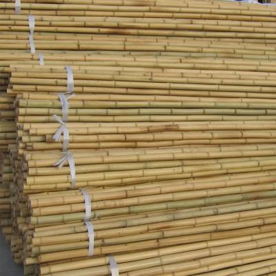 Bamboo Garden Stakes Rods Garden Sticks Bamboo Plant Stakes for Beans Peas Cucumbers Fruiting Plants Trees