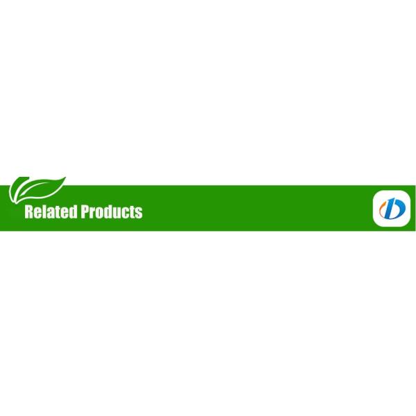 Custom Letters Theme Tyvek Paper Wrist Band for Event Security and Identification